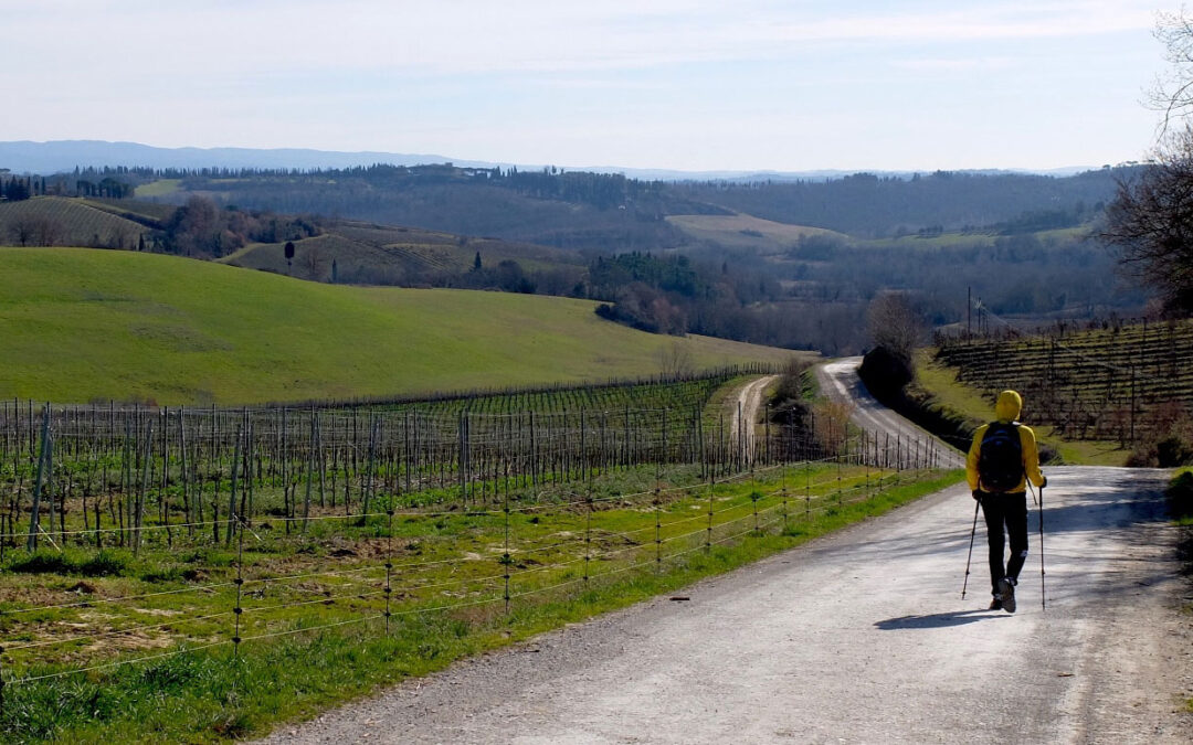 Via Francigena