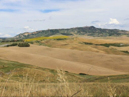 Volterra e la Via del Sale