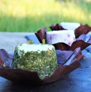 Relax and enjoy making and tasting local products, such as these fresh goat cheeses from Le Caprine