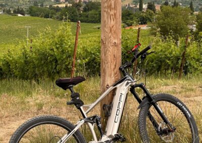 Discover our territory by e-bike!