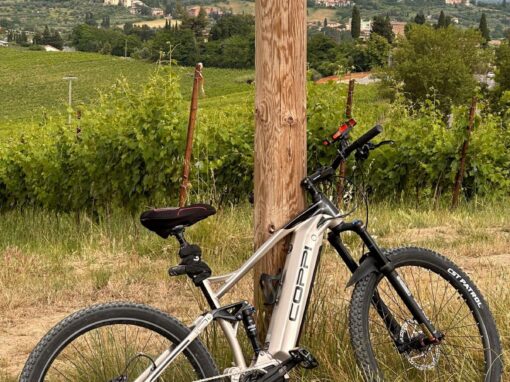 Discover our territory by e-bike!