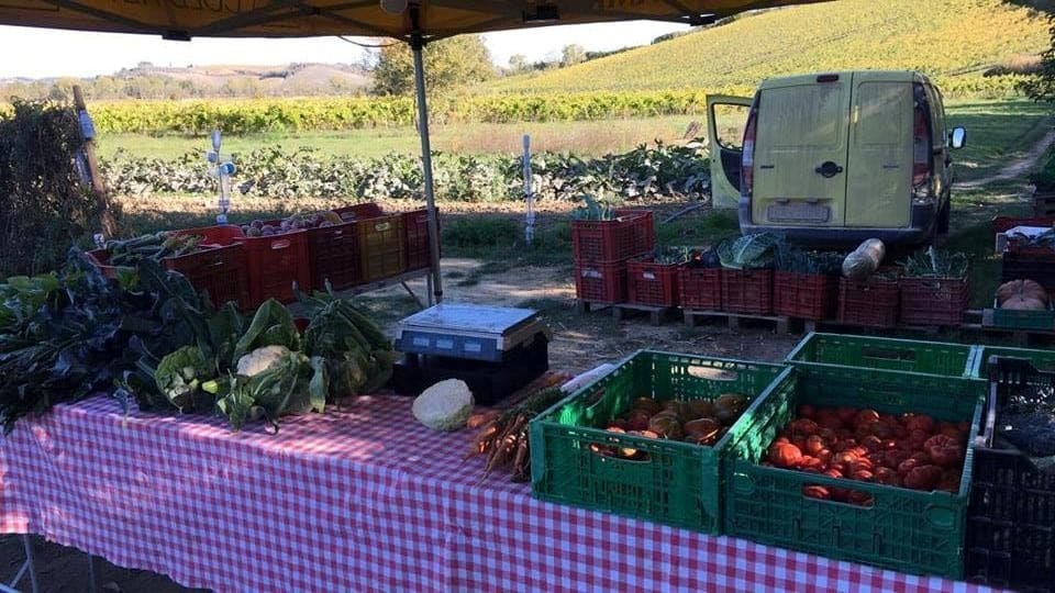 Punto vendita Agriturismo Poggio ai Grilli - i prodotti freschi in vendita